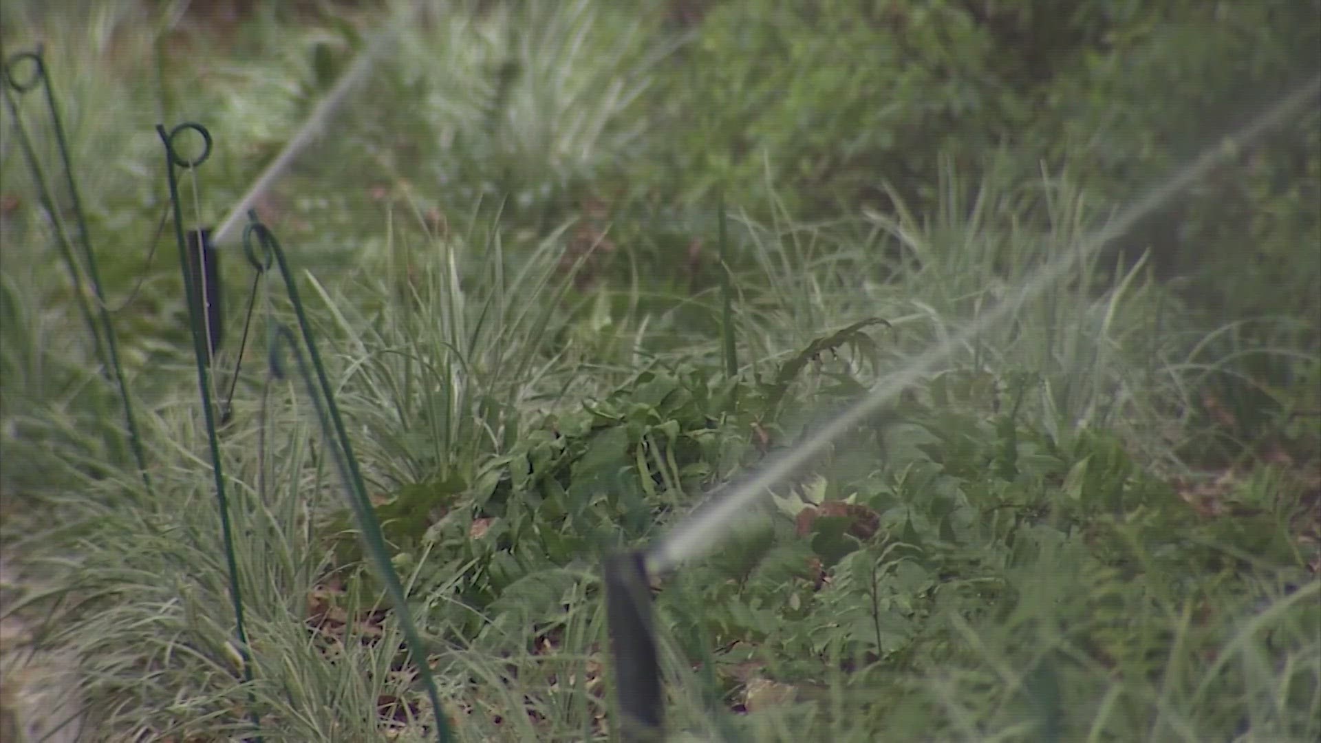 The city is entering "Stage Two" of its drought plan which limits outdoor water usage to specific times. Anyone who violates the watering times could be fined.