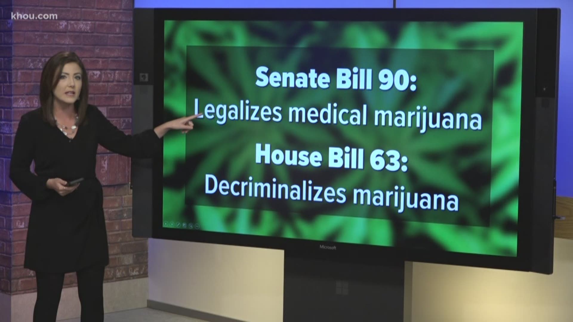 They cover everything from voting reform to legalizing marijuana.