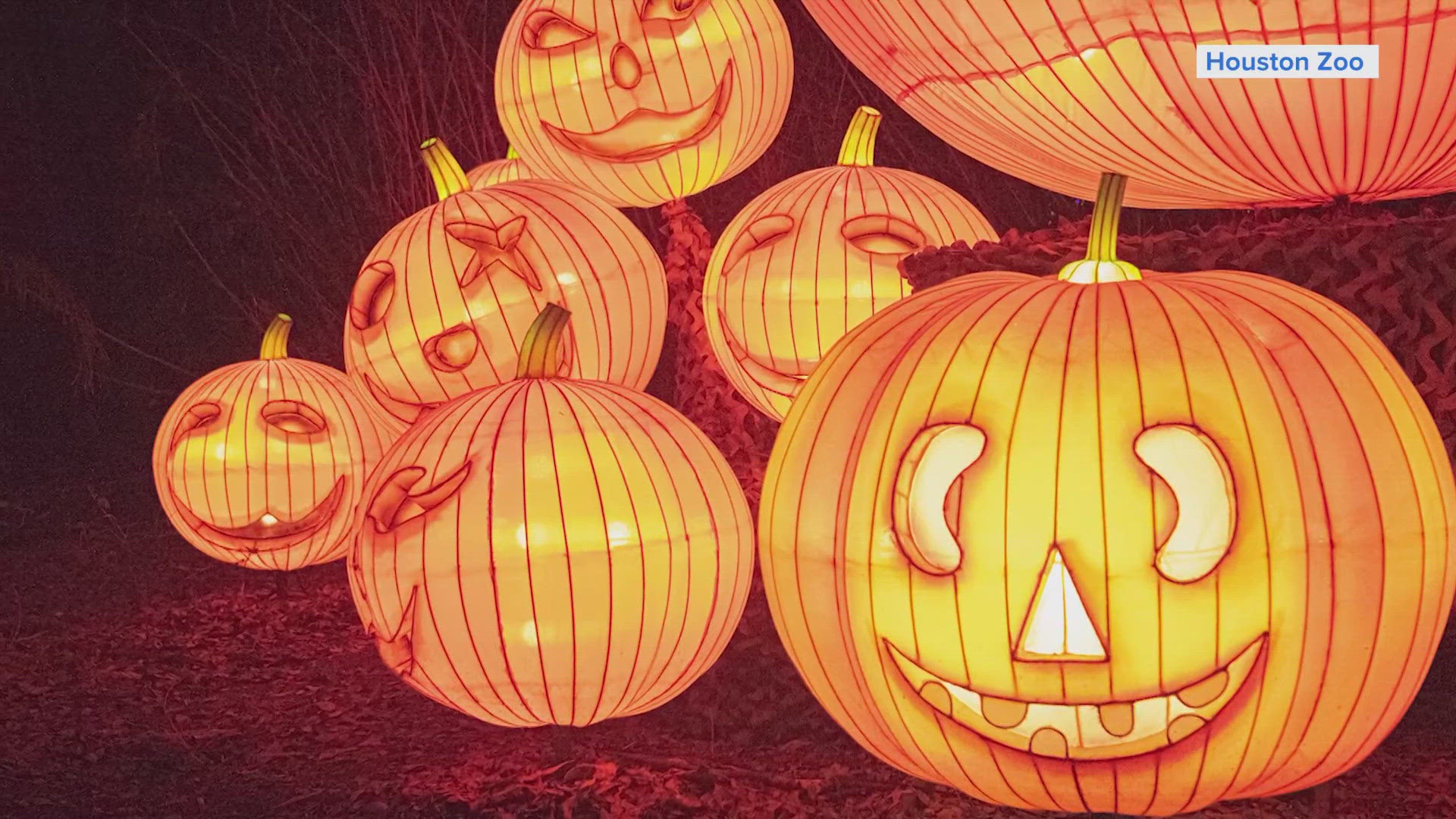 Zoo Boo is back through Halloween at Houston Zoo