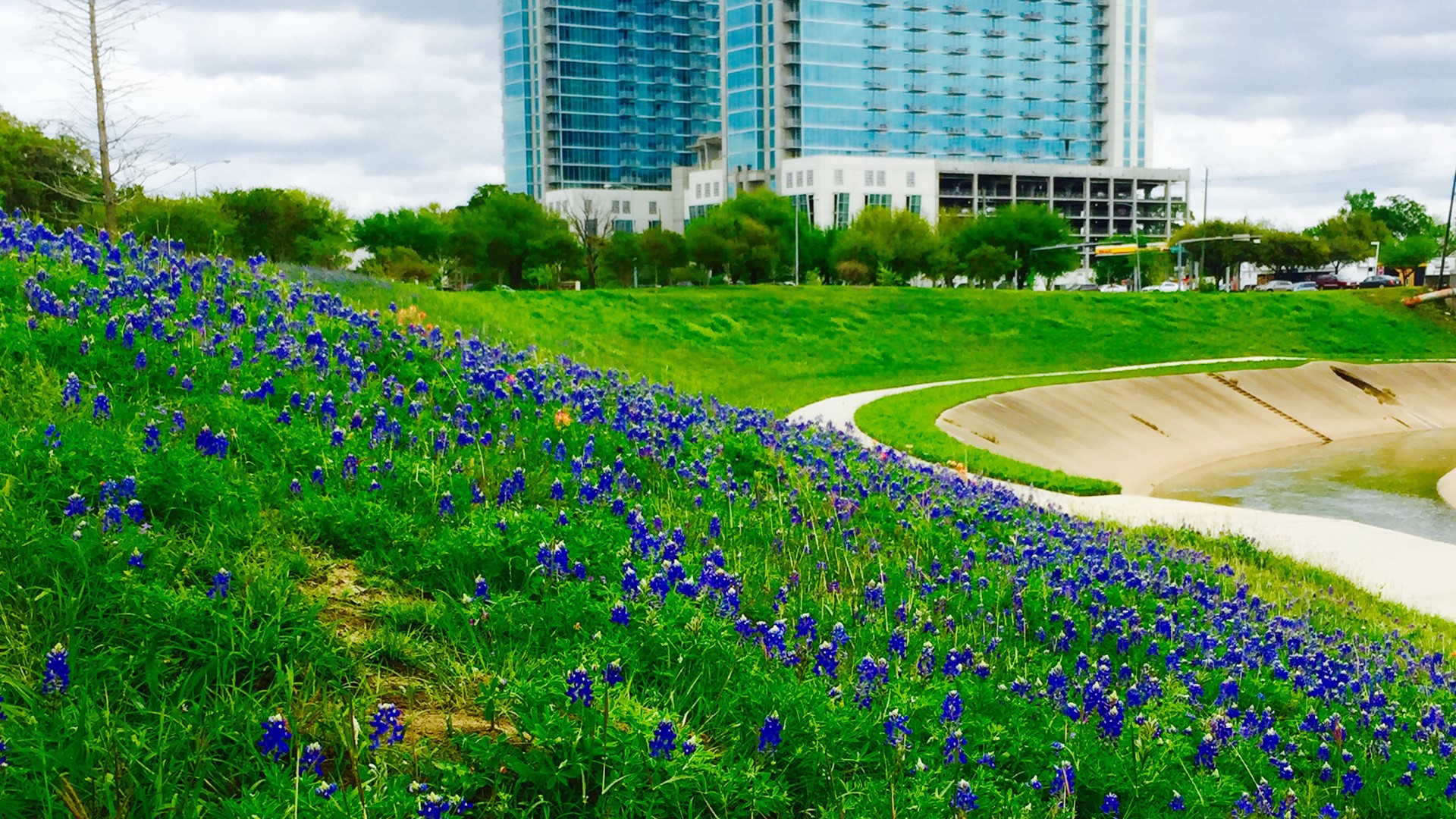 Where are the best places near Houston to see wildflowers?