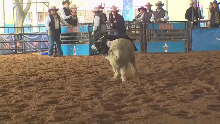 Behind the scenes at RodeoHouston's mutton bustin' event