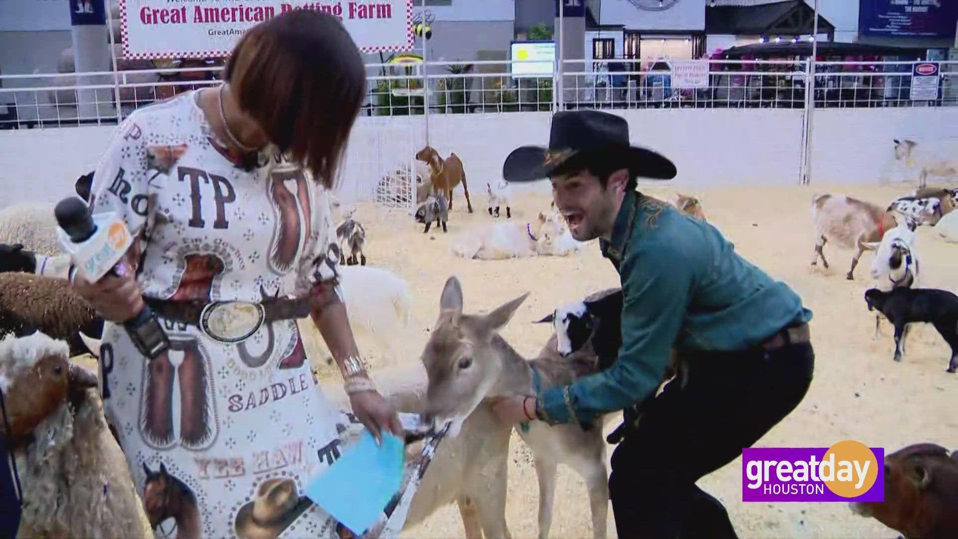 Houston Rodeo Farm Animals Up Close With The Cutest Animals At The Houston Livestock Show And ...