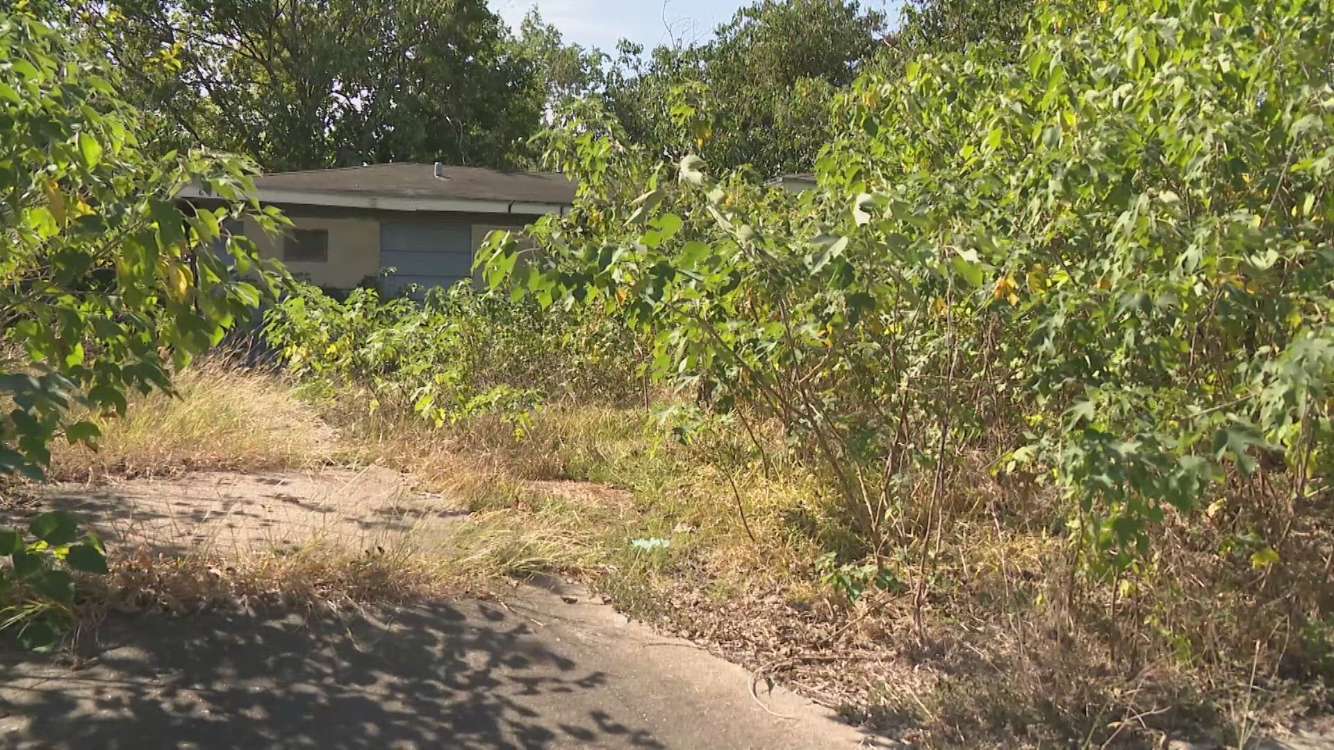 An elderly couple in northwest Houston is dealing with a nuisance neighboring property that's causing problems at their home.