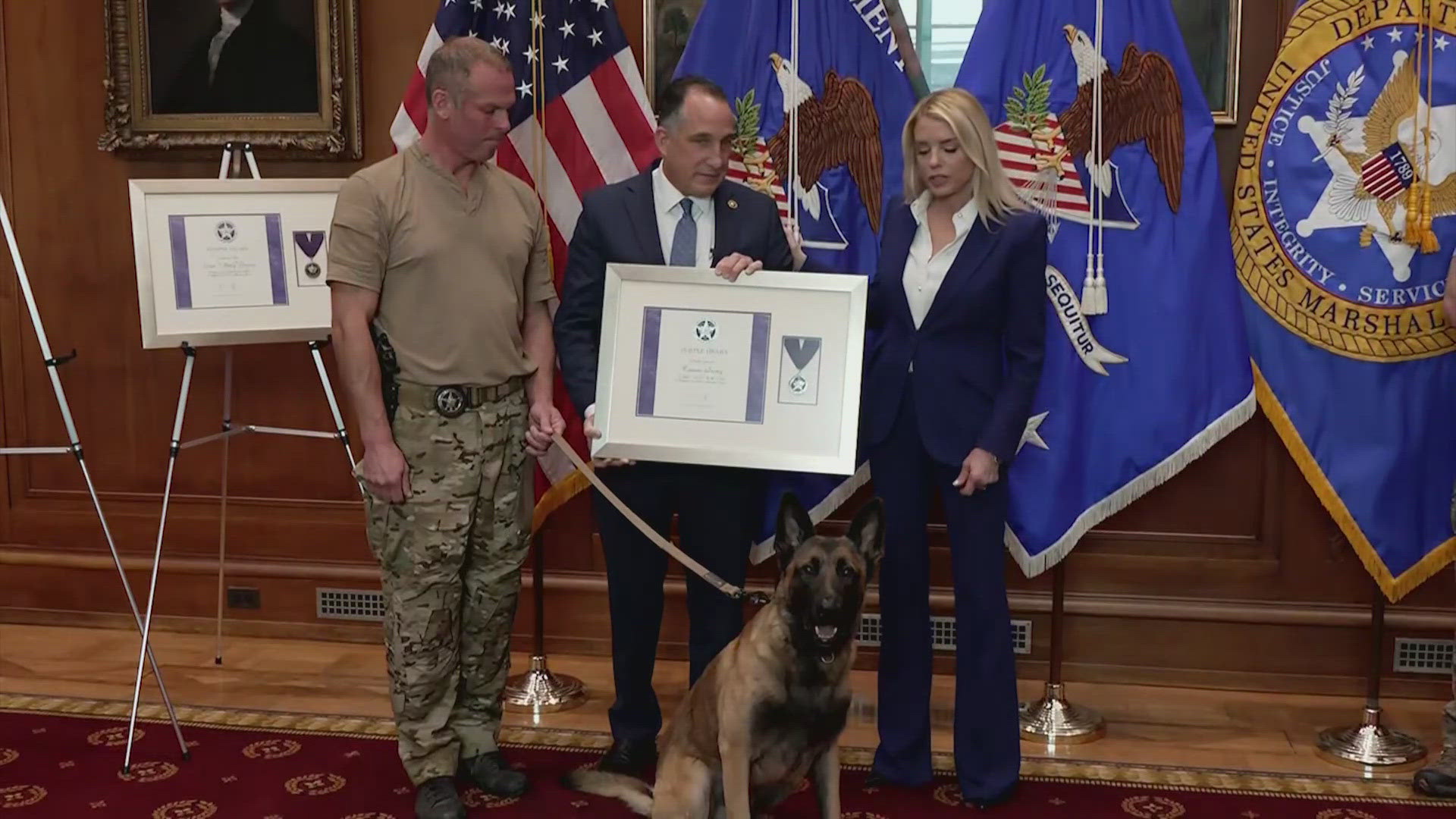 Ffe Tracker Example Wounded Houston-area K9 and his handler awarded Purple Heart for ...