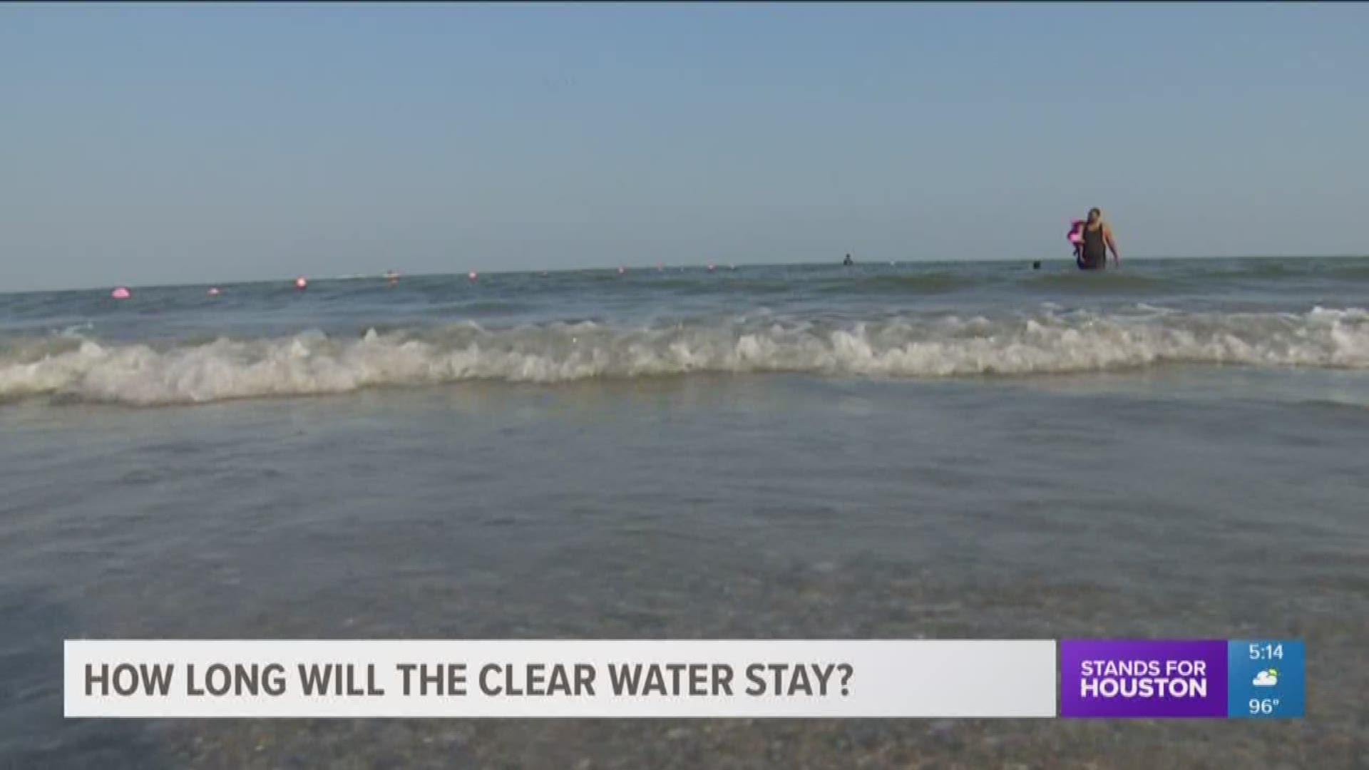 Many people are flocking to Galveston beaches this weekend after reports the blue water is back.