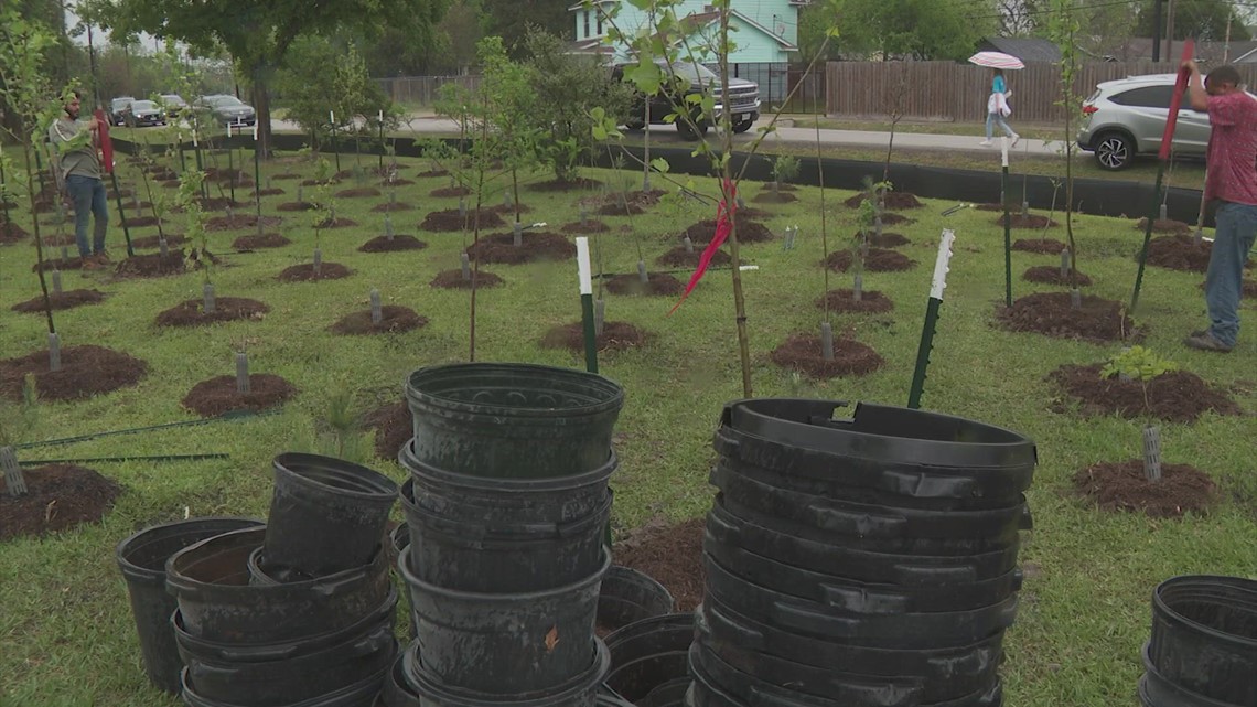 Volunteers help plant trees around Houston for a prettier, cooler future