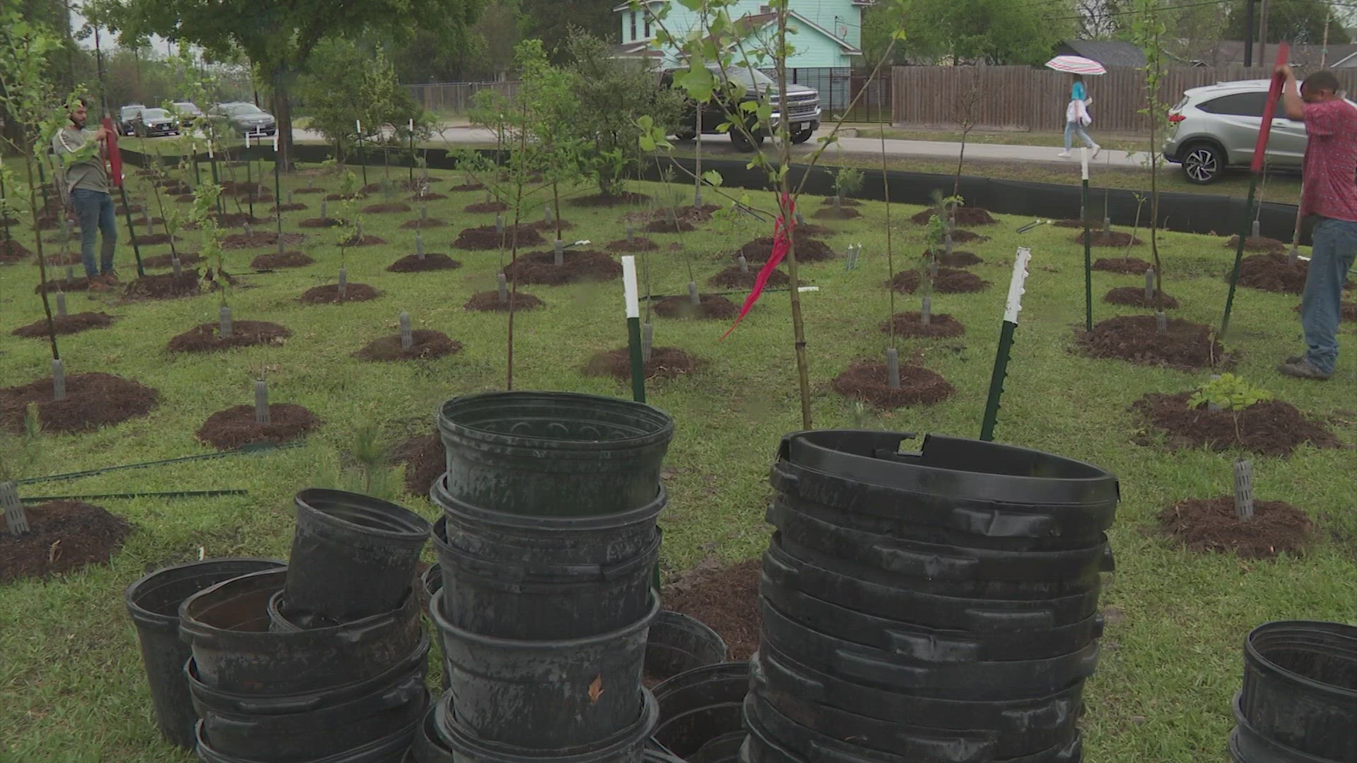 Mayor Sylvester Turner said the city aims to plant 4.6 million trees by the year 2030.