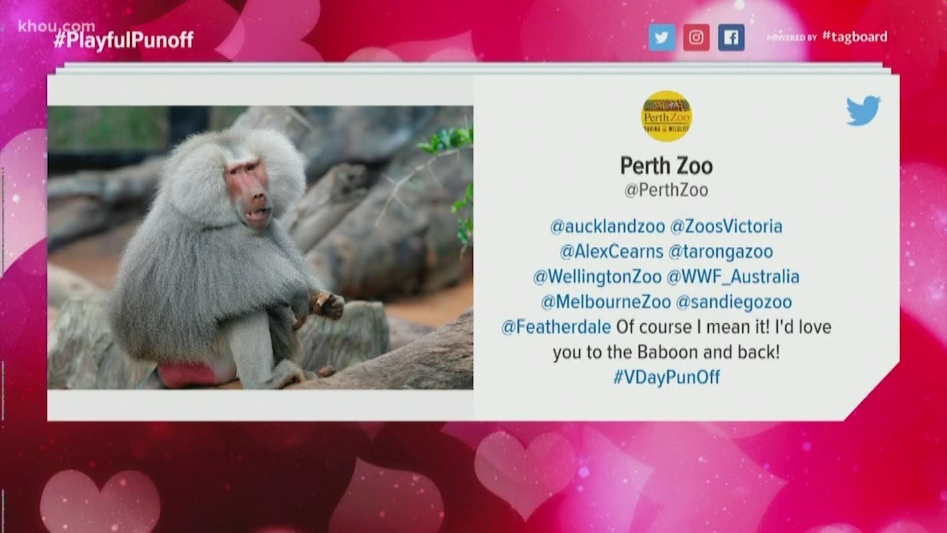 Zoos around the world are sharing their best Valentine's Day puns on Twitter.
