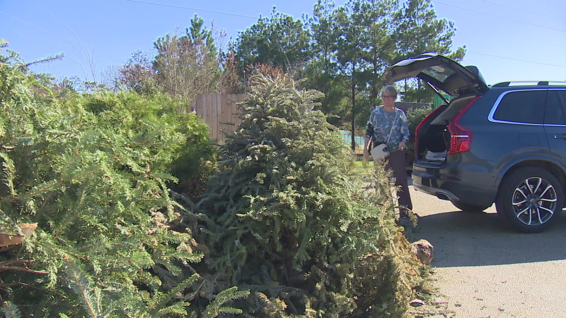 How to get rid of Christmas trees in Houston
