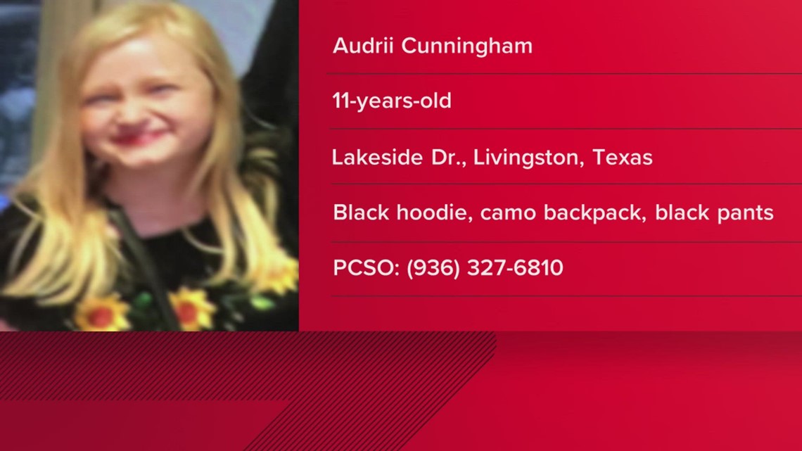 Texas DPS asking for tips in finding missing Livingston girl at center