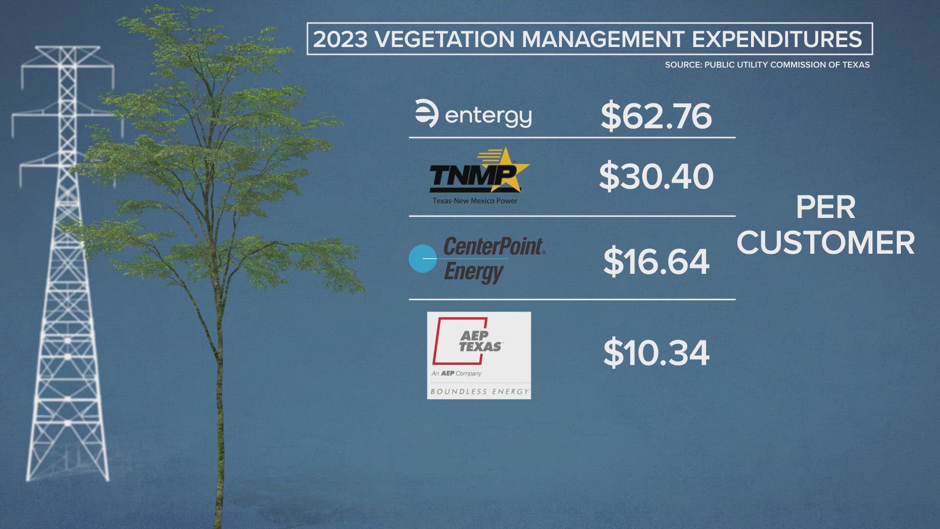 Records show that compared to other utility companies serving Greater Houston, CenterPoint was second to last when it comes to spending on tree maintenance.