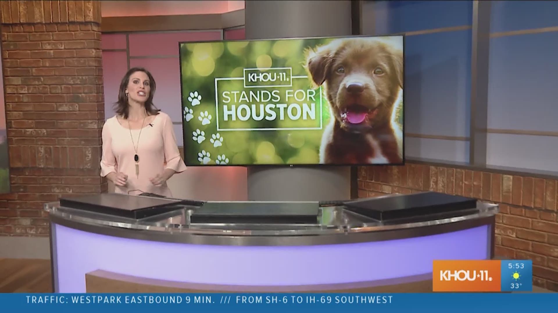 Shelter dogs are now receiving free treatment for heartworm disease, thanks to the Heal A Heart program. We take you inside one shelter standing for Houston pets.