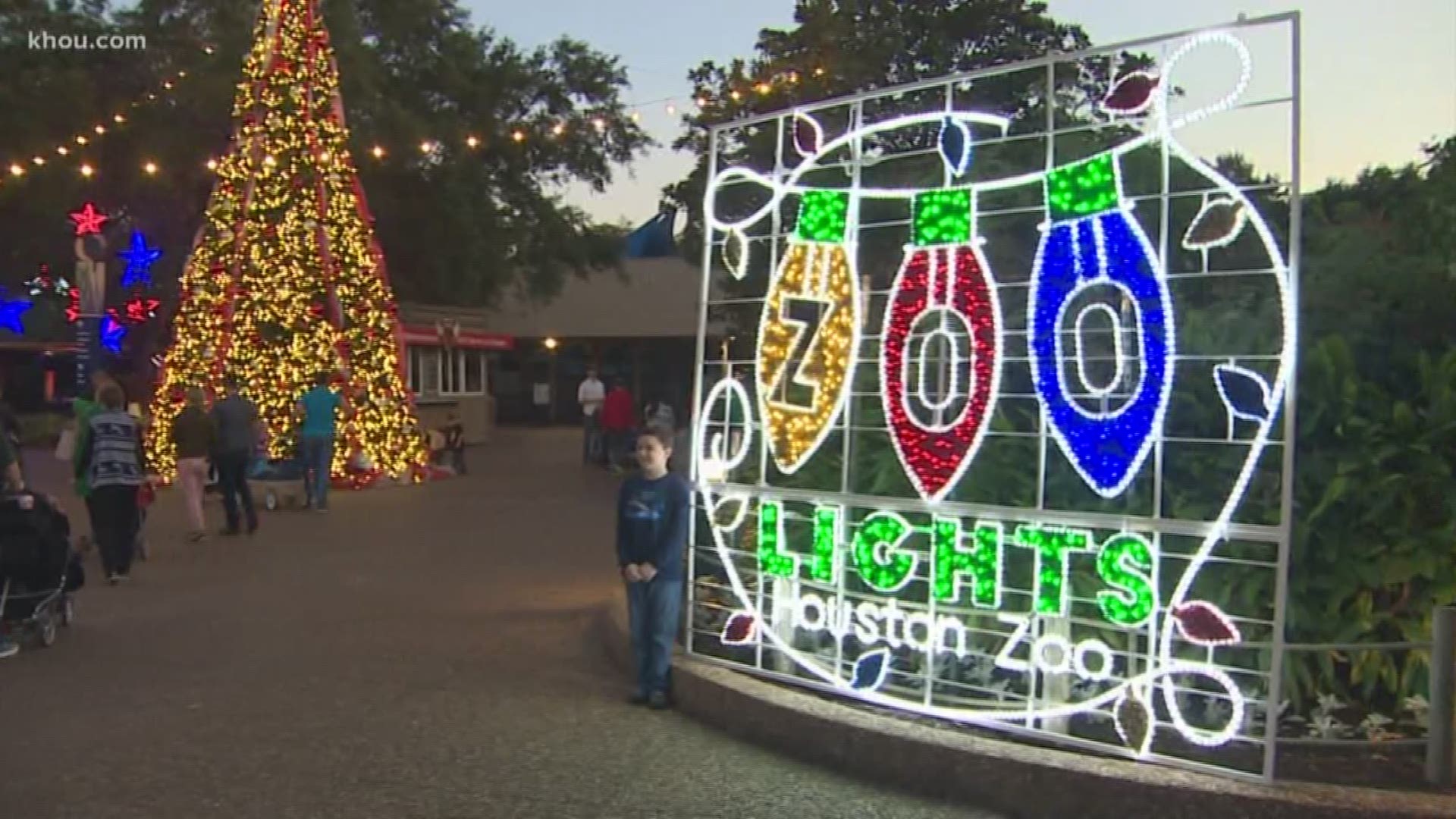 Zoo lights are back at the Houston Zoo! KHOU 11 photojournalist Ryan Phillips gives us a sneak peek.