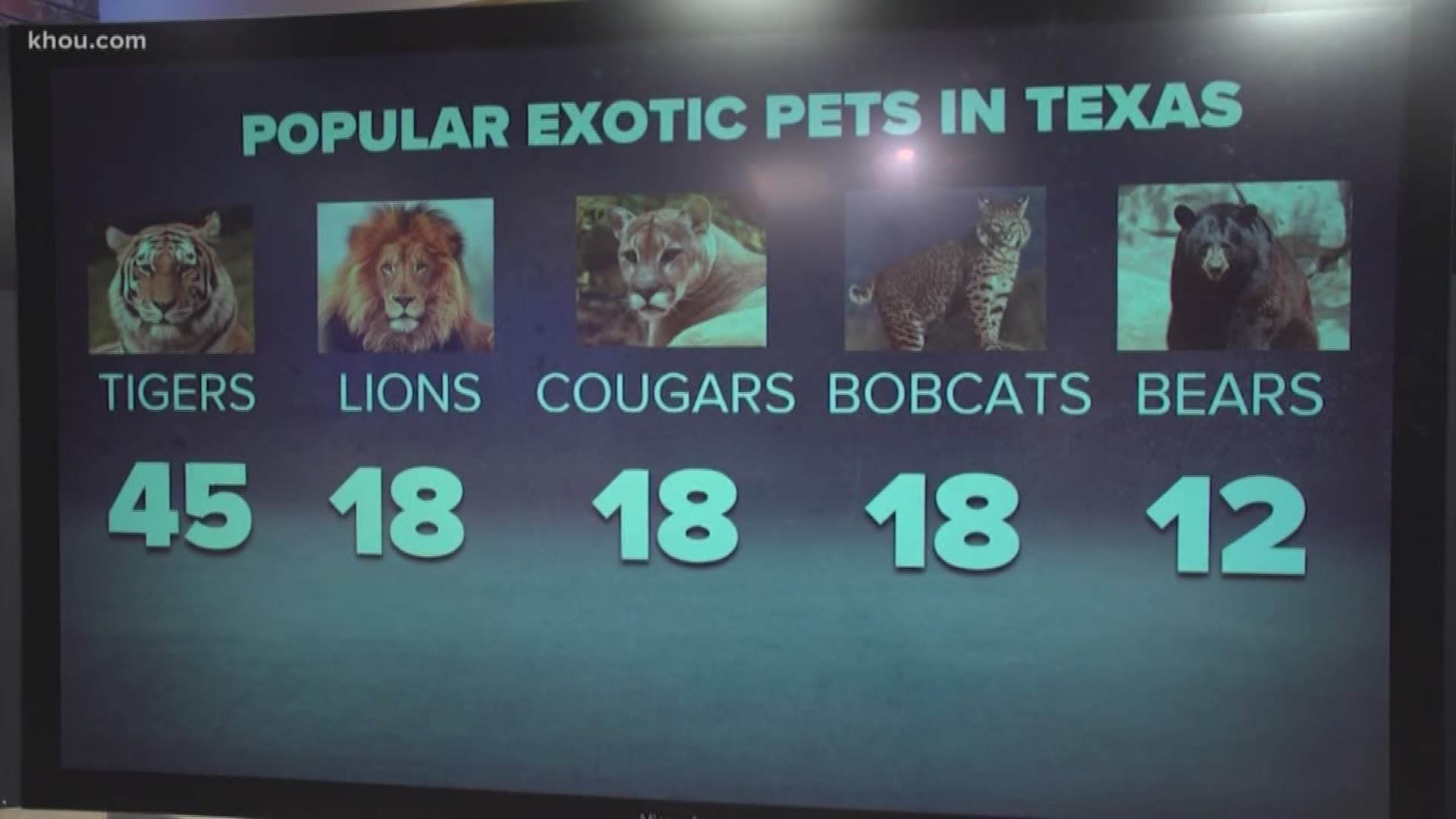 What wild animals do people own in Texas? Turns out, a lot!