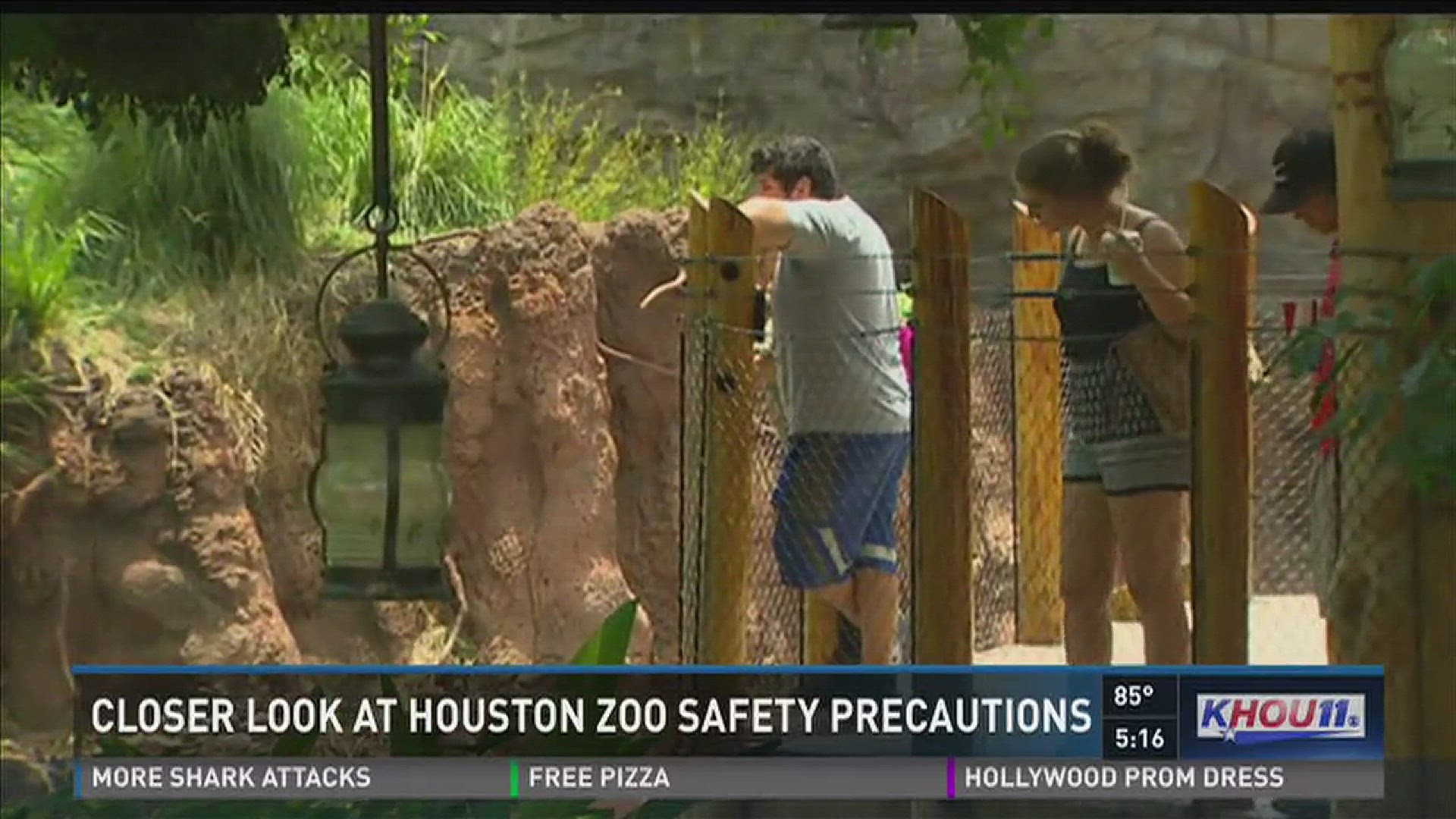 Houston Zoo reviews policies after Cincinnati Zoo incident