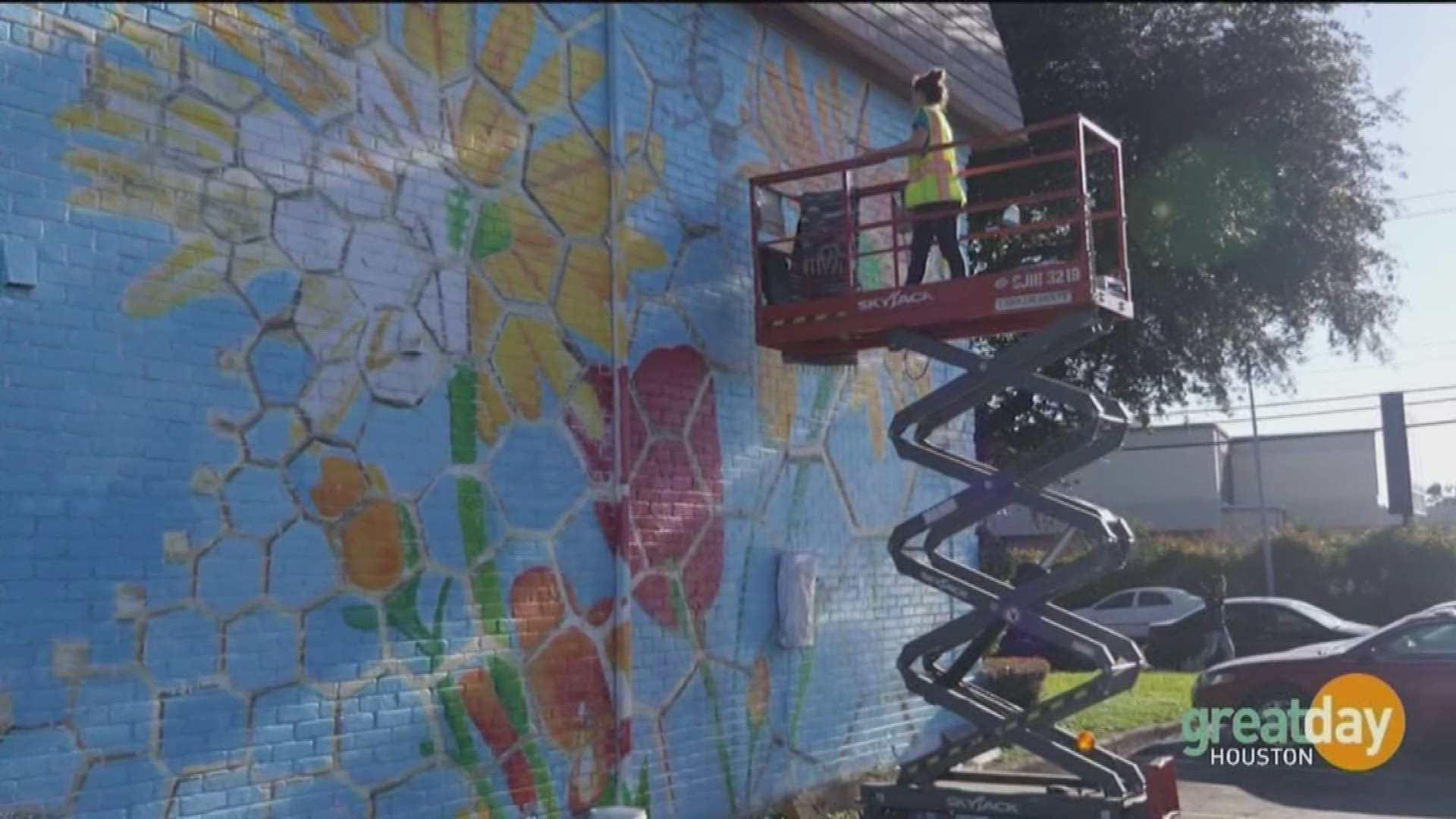 The mural project has brought 12 new murals to Houston.