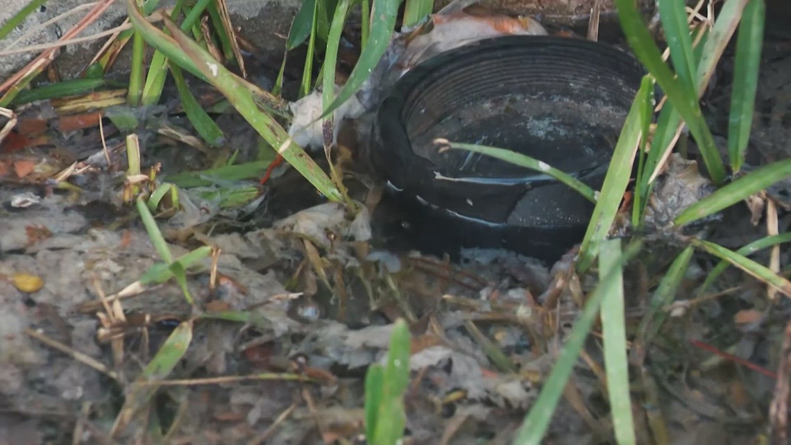 Southwest Houston family's backyard flooded with raw sewage for weeks while awaiting city repairs