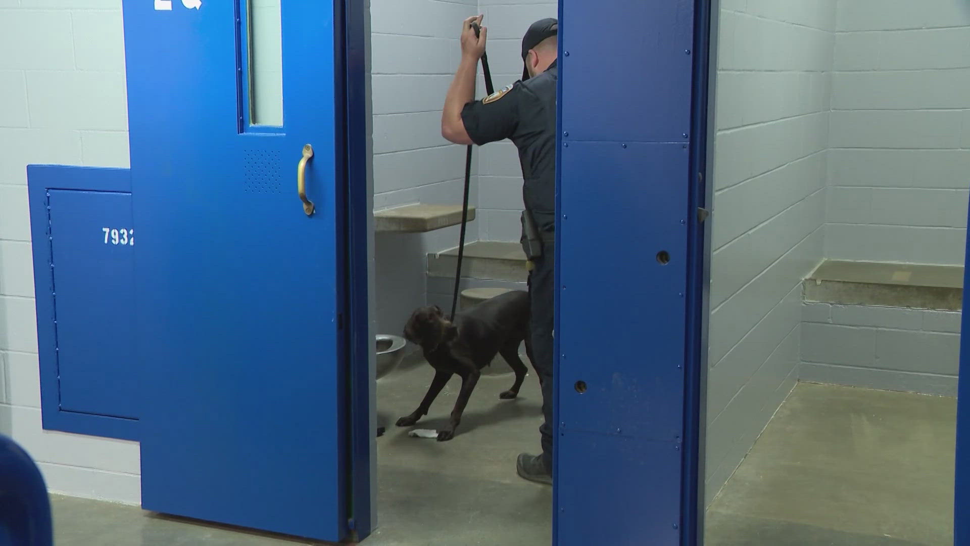 The new K9 unit works exclusively inside Harris County jail buildings, searching for drugs and other illegal contraband that's smuggled in.
