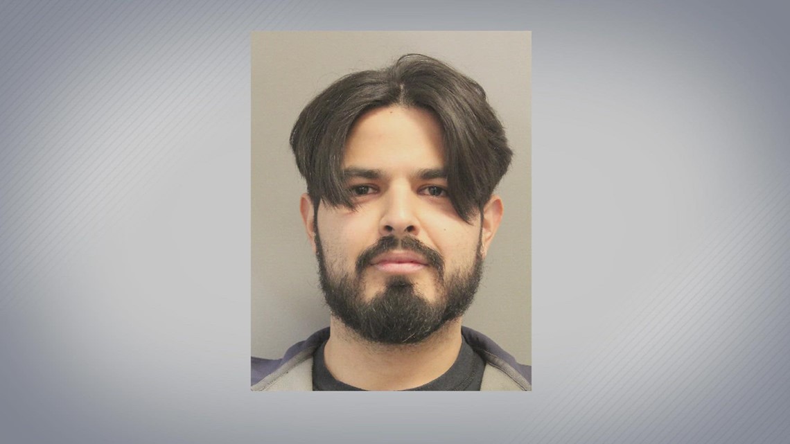 German Shepherd chases cat up a tree both get stuck