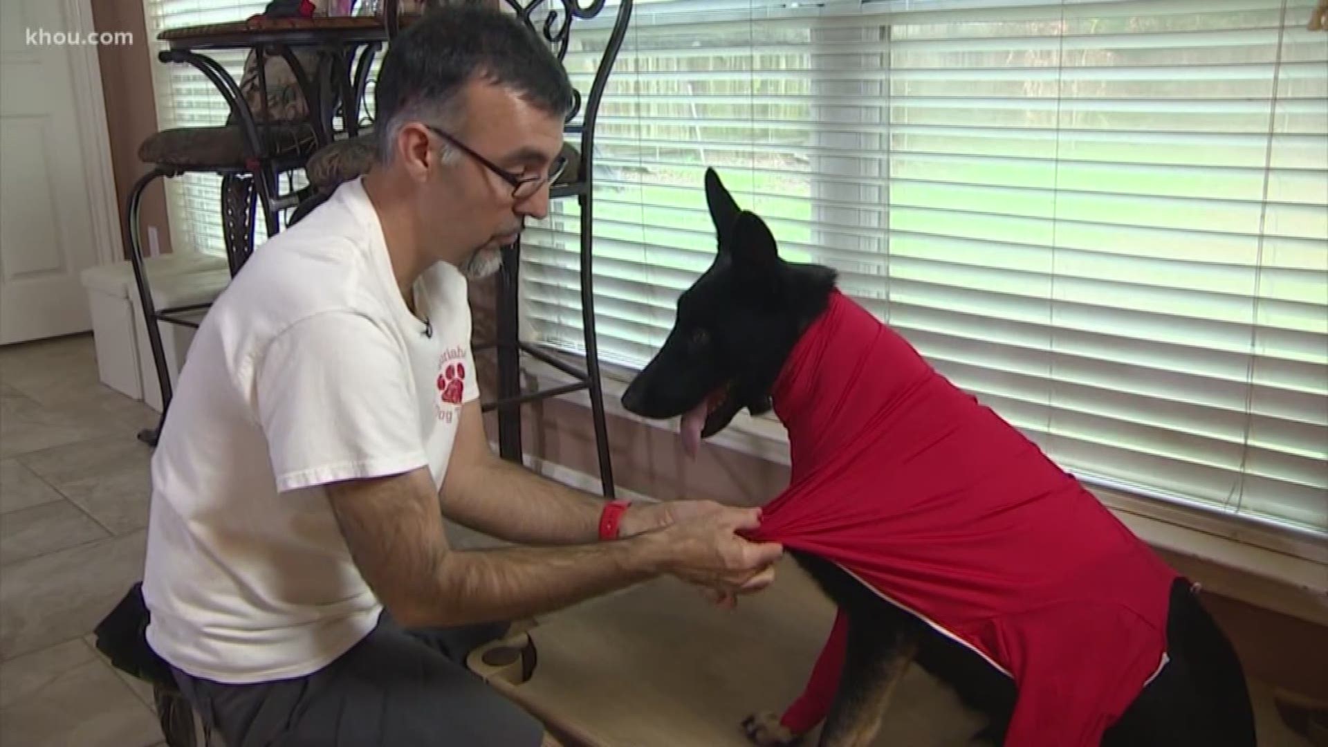 This onesie for pets keeps shedding in check and helps with anxiety but is it worth it? KHOU's Tiffany Craig checks it out.