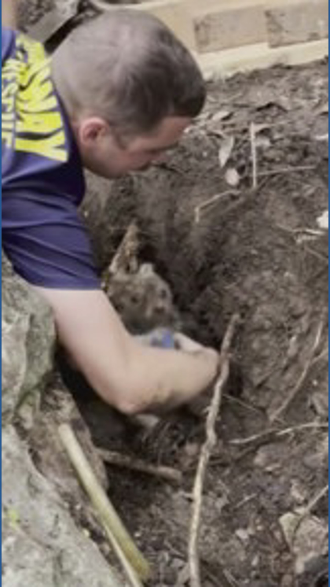 Officers help rescue dog in tunnel | khou.com