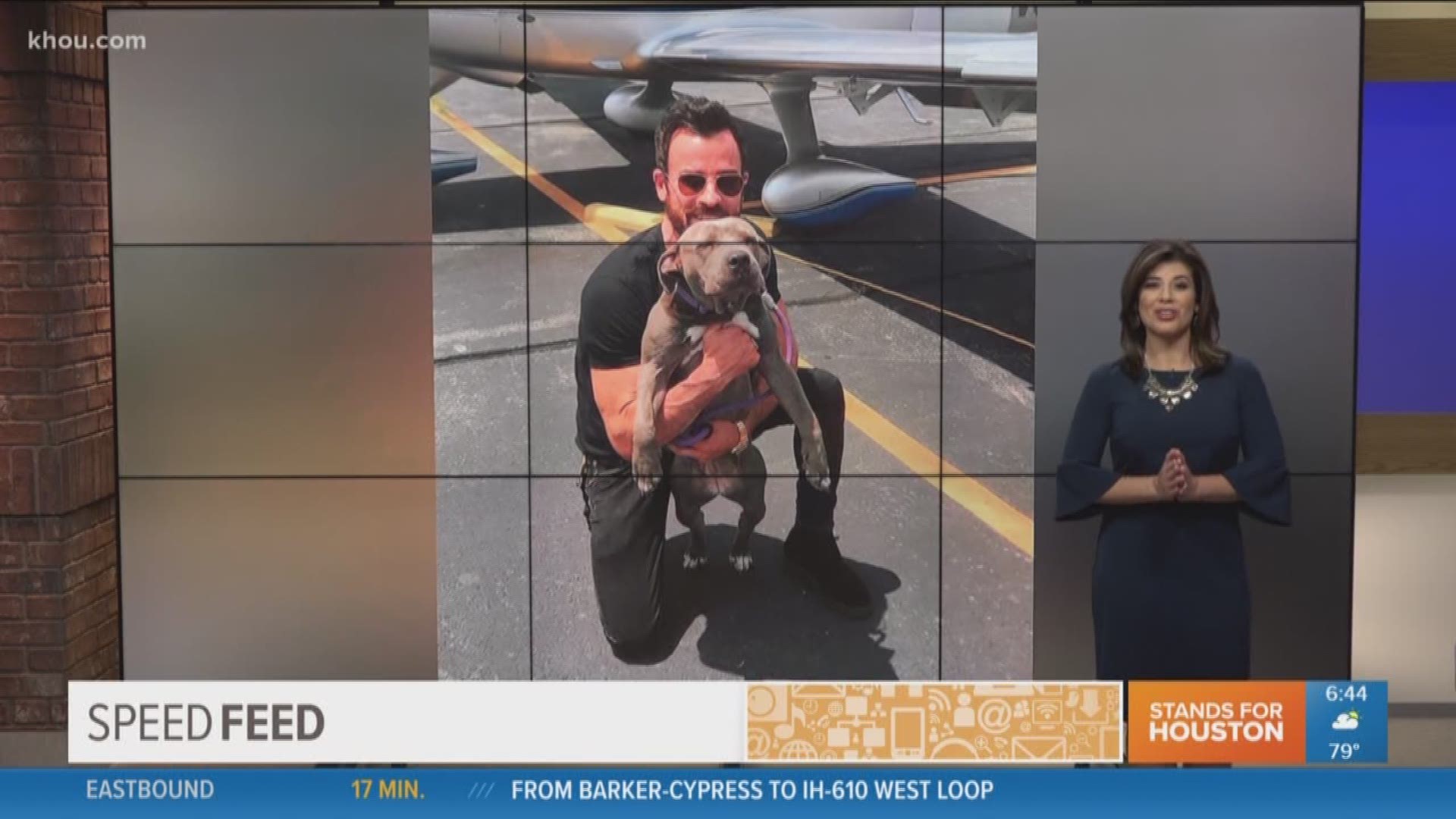 Actor Justin Theroux has a new addition to his family. He adopted a blue pit bull from a dog rescue group in Conroe. 