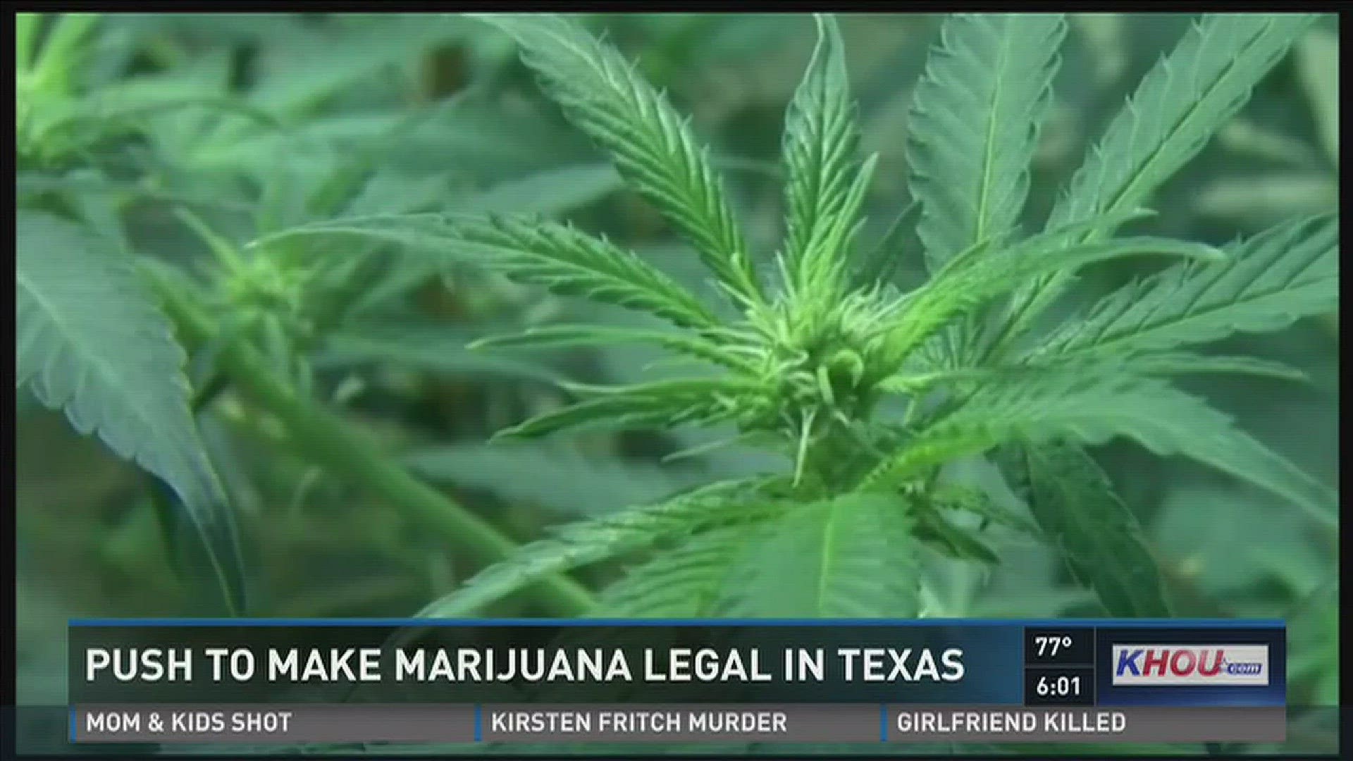 A handful of new states legalized marijuana on Election Day, so could Texas be next?