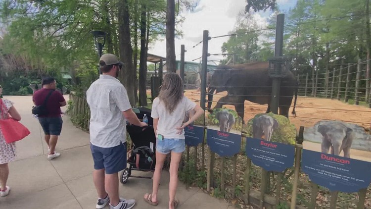 A walk down memory lane as Houston Zoo celebrates 100 years