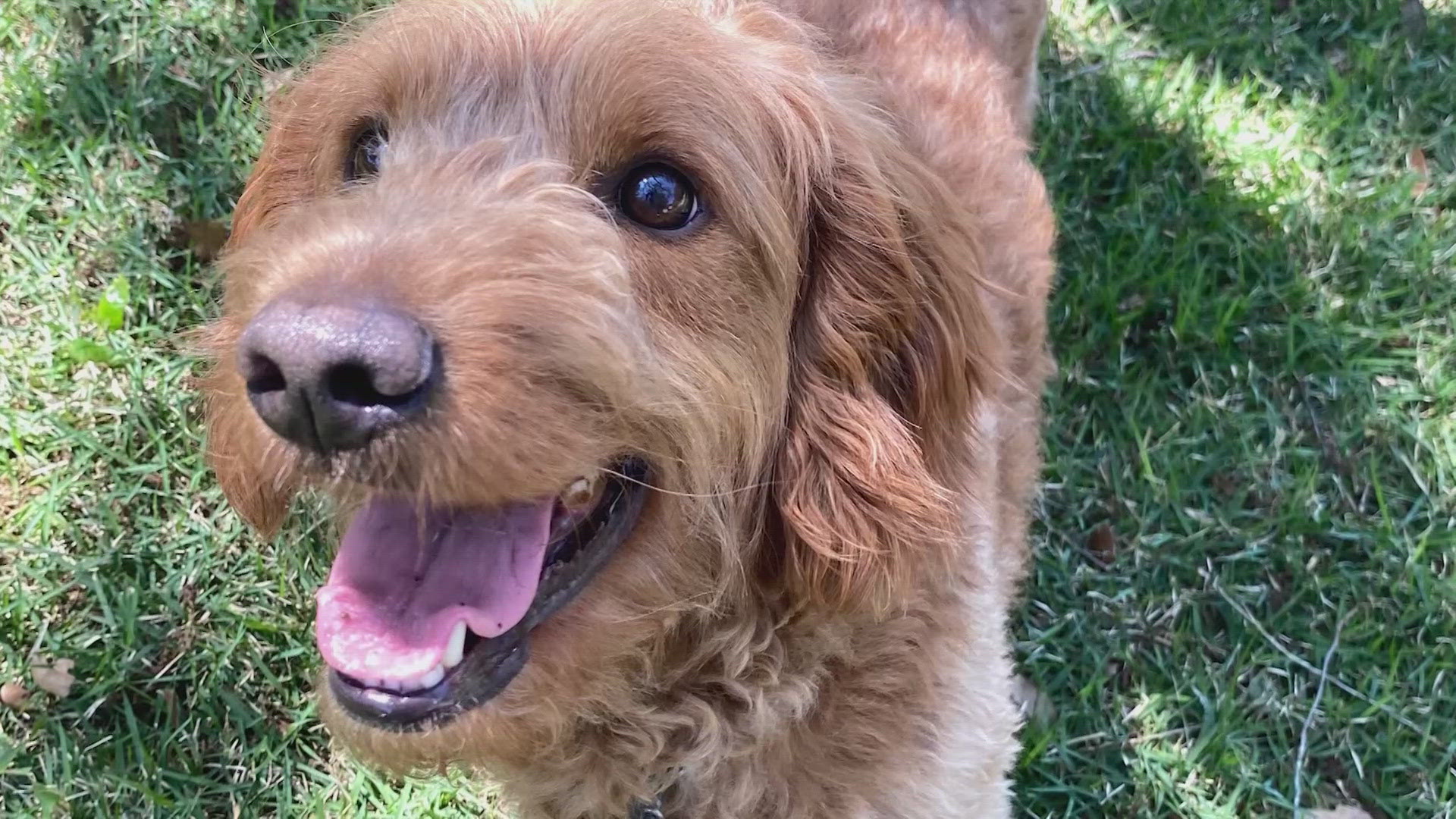 The NBA's stretch run has arrived. Here's a look at what's happening ...