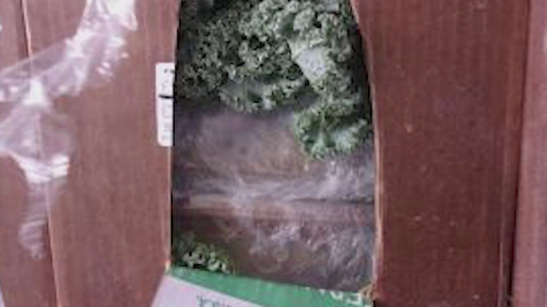U.S. Customs and Border Protection officers at Otay Mesa Cargo Facility seized $38 million worth of methamphetamine hidden inside a shipment of kale.