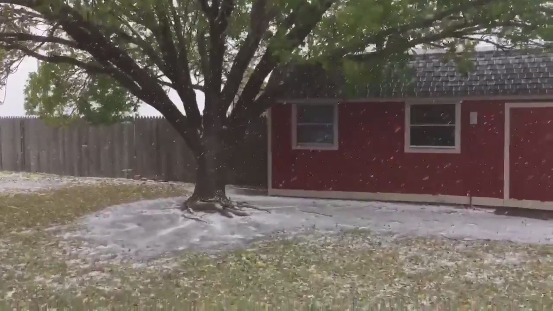 Ricky Mourning sent this video to KHOU 11, showing flakes flying about 80 miles north of Amarillo, in Stratford, TX today, October 14, 2018. Stratford is a tiny town in the high plains of the TX panhandle, near the Oklahoma border. Its elevation is 3,600