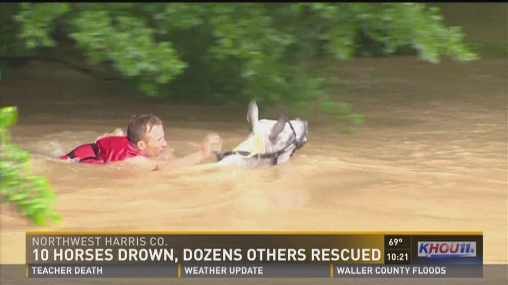 Rescuers help save drowning horses on Cypresswood Drive