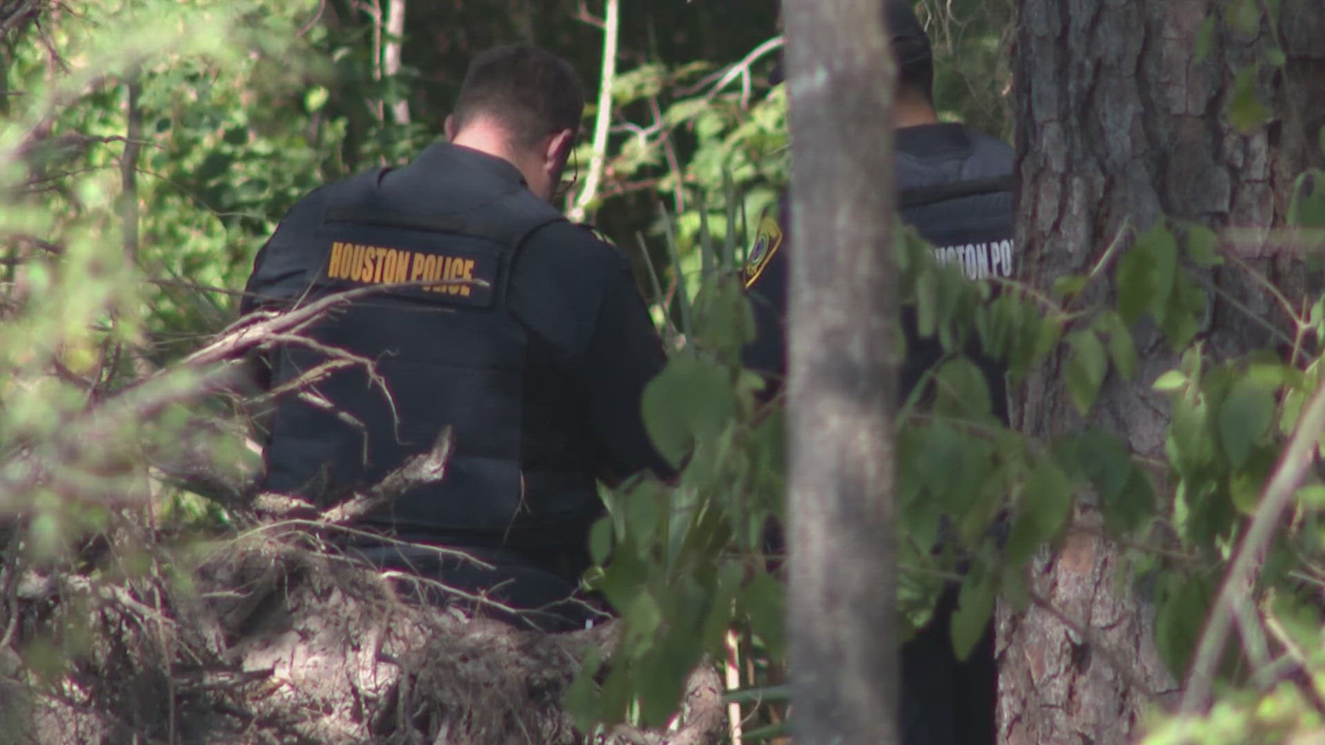 Houston police said the remains were scattered in a wooded area off Little York Road on the northeast side.