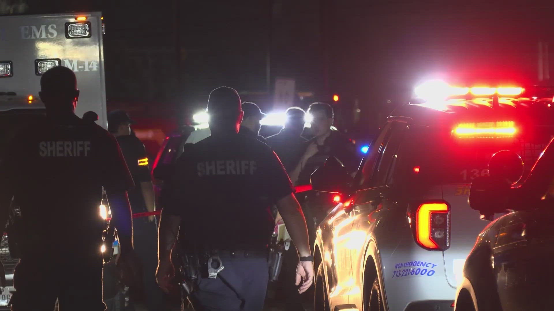 HCSO: Teen shot to death at large party on Waldine in east Harris ...