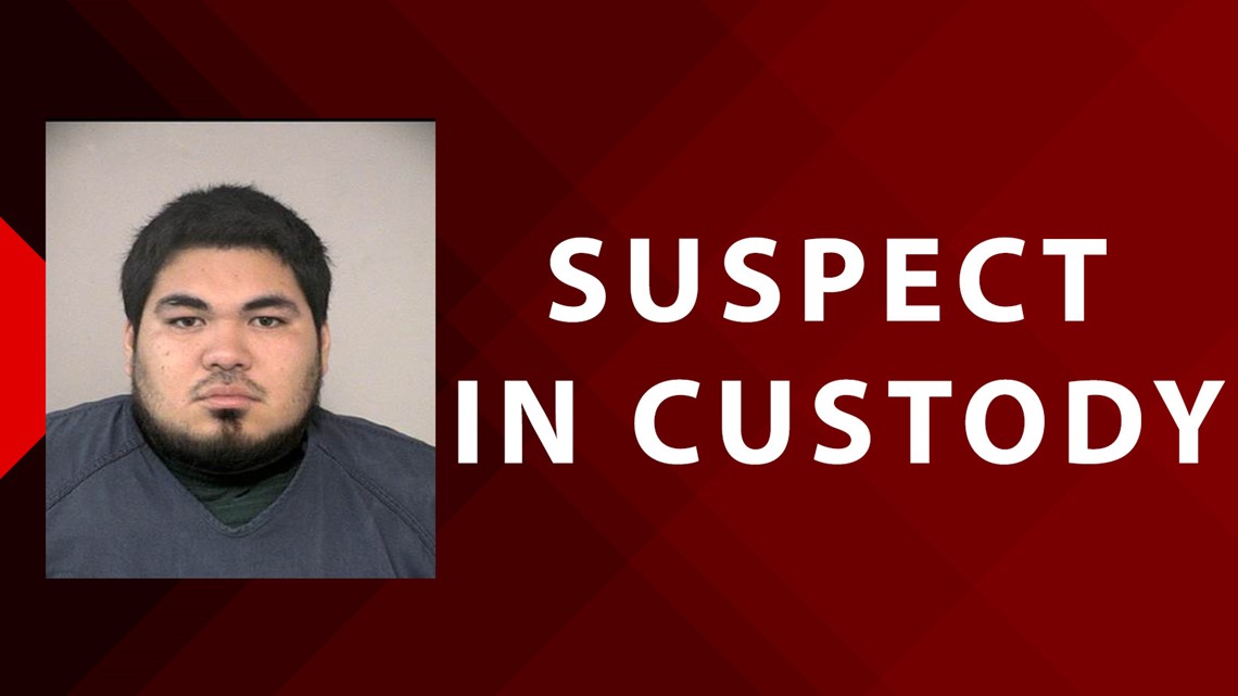 Man charged after allegedly killing girlfriend during argument in ...