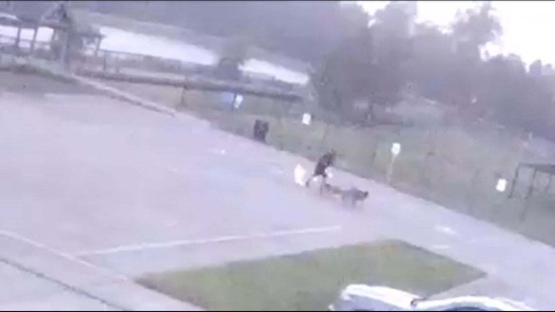 Video captures moment man was struck by lightning while walking dogs