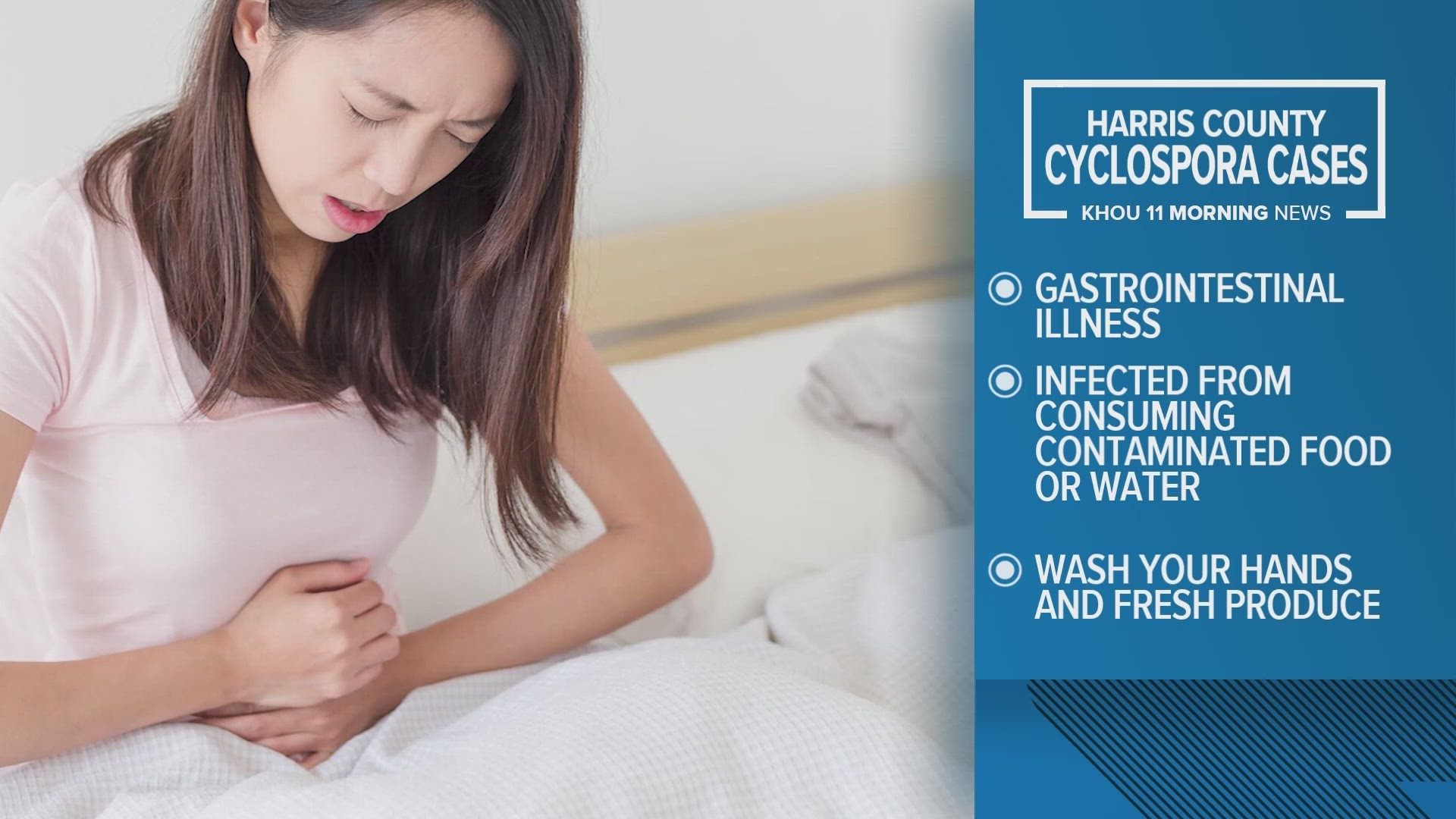 Illness caused by 'intestinal parasite' on the rise in the Houston area