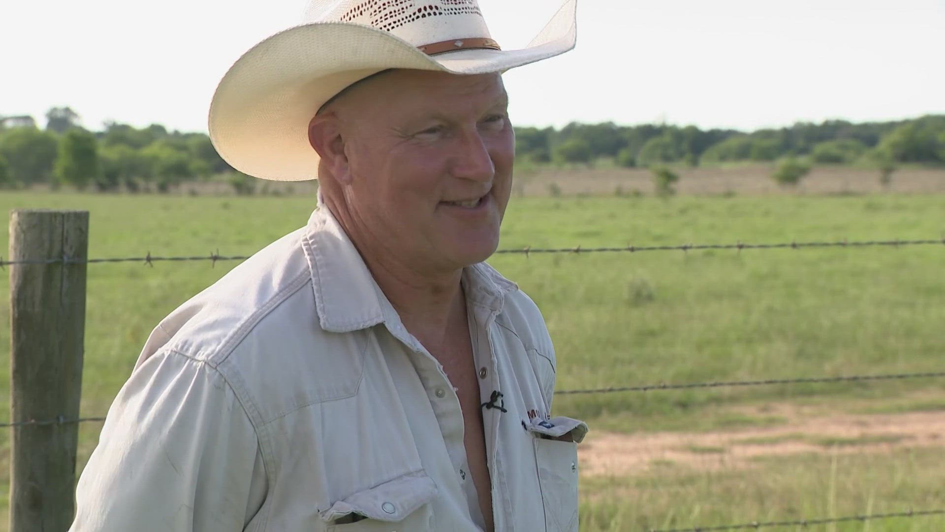 Justin Freeman found Sir Loin among his cattle. He knew Sir Loin wasn't his because of his shape and head.