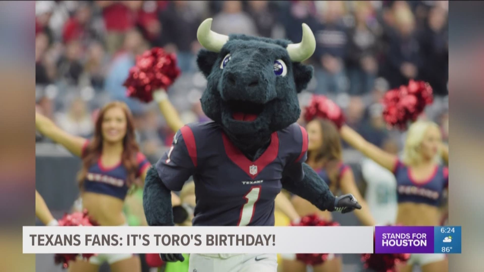 Texans fans have always loved their mascot Toro and Saturday is his birthday!