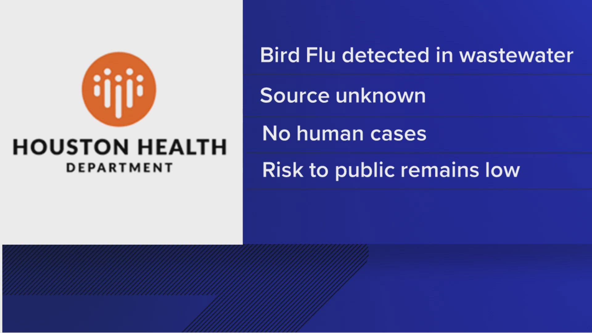 As of Tuesday afternoon, there had been no human cases of H5N1. The source of the bird flu is unknown.