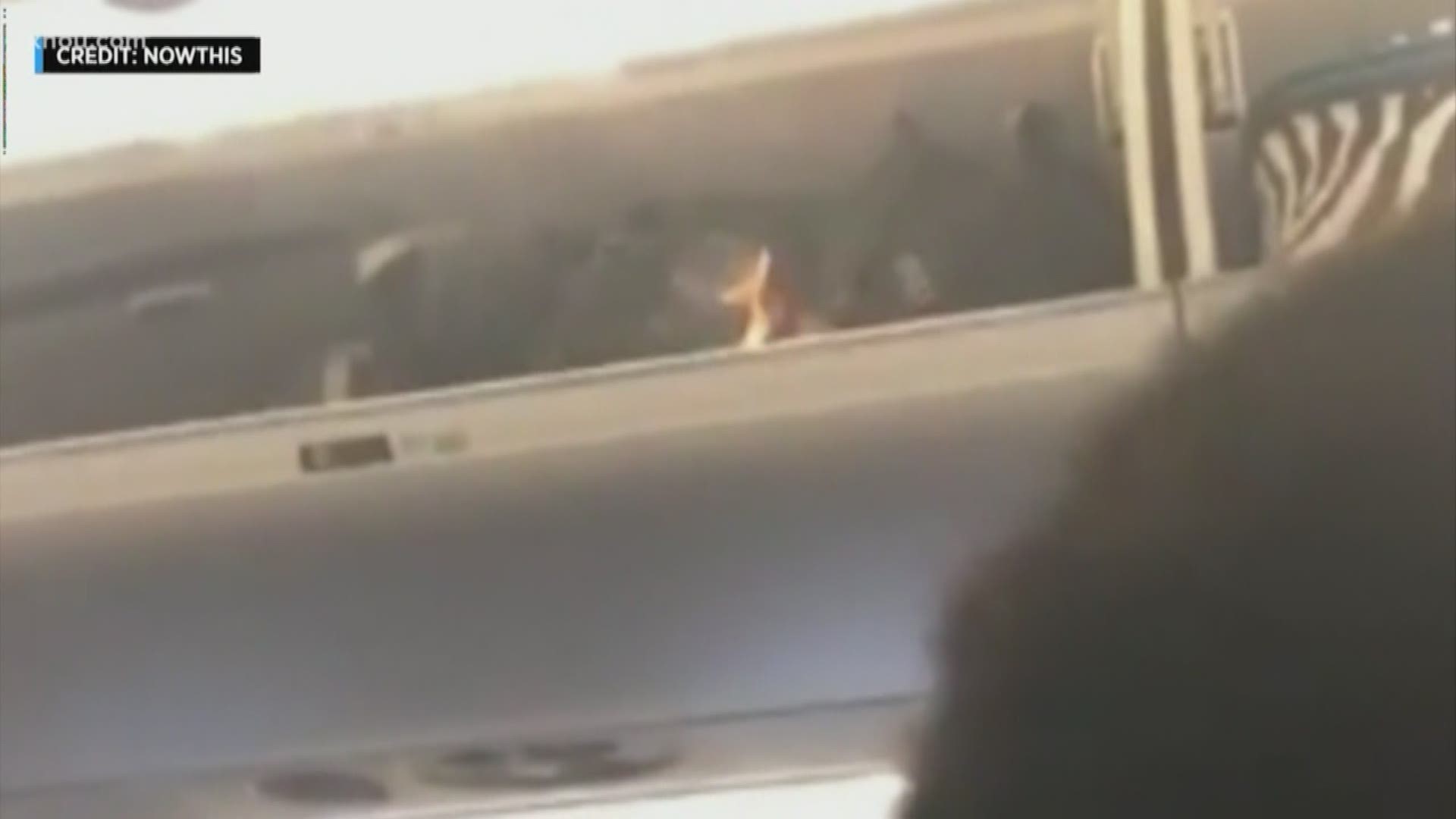 A vape pen in an overhead bin sparked a fire on a Delta flight. You can see passengers and a flight attendant rushing to put those flames. The plane was headed to Houston but still on the tarmac in New York when the fire started. Thankfully, no one was hurt.