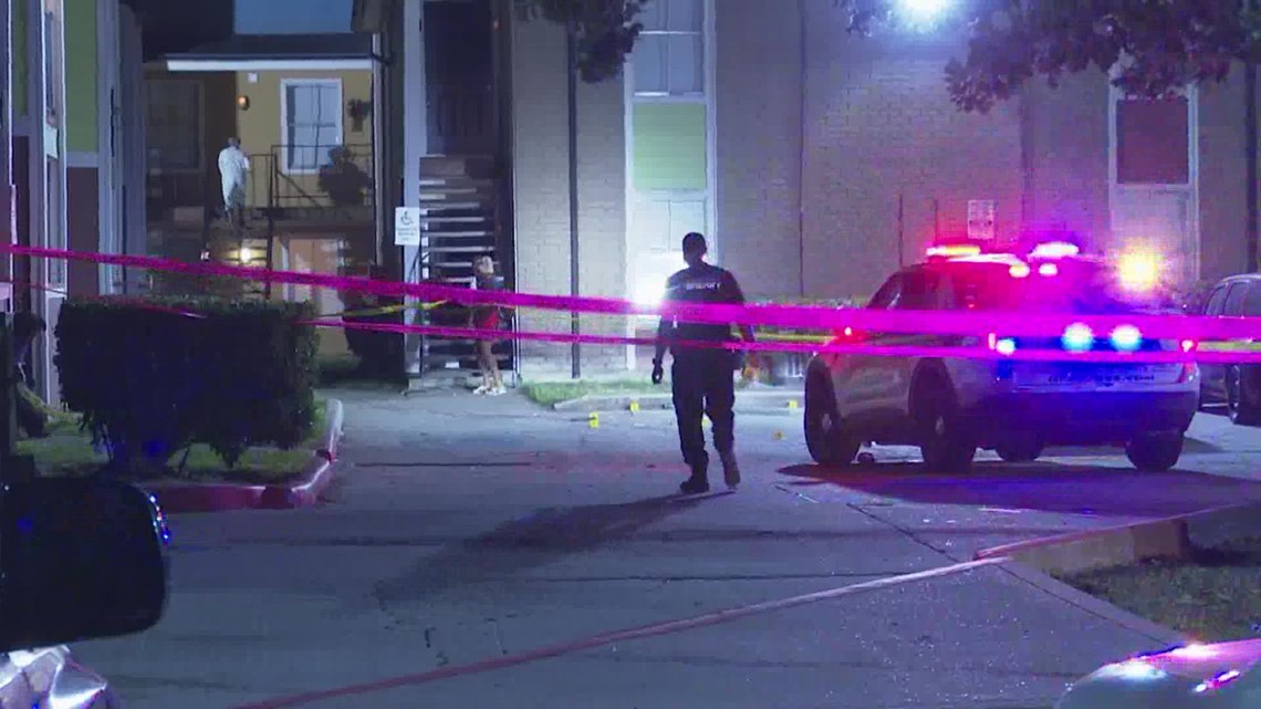 Kejahatan Houston: Tersangka dibunuh oleh tetangga setelah menembak ibunya