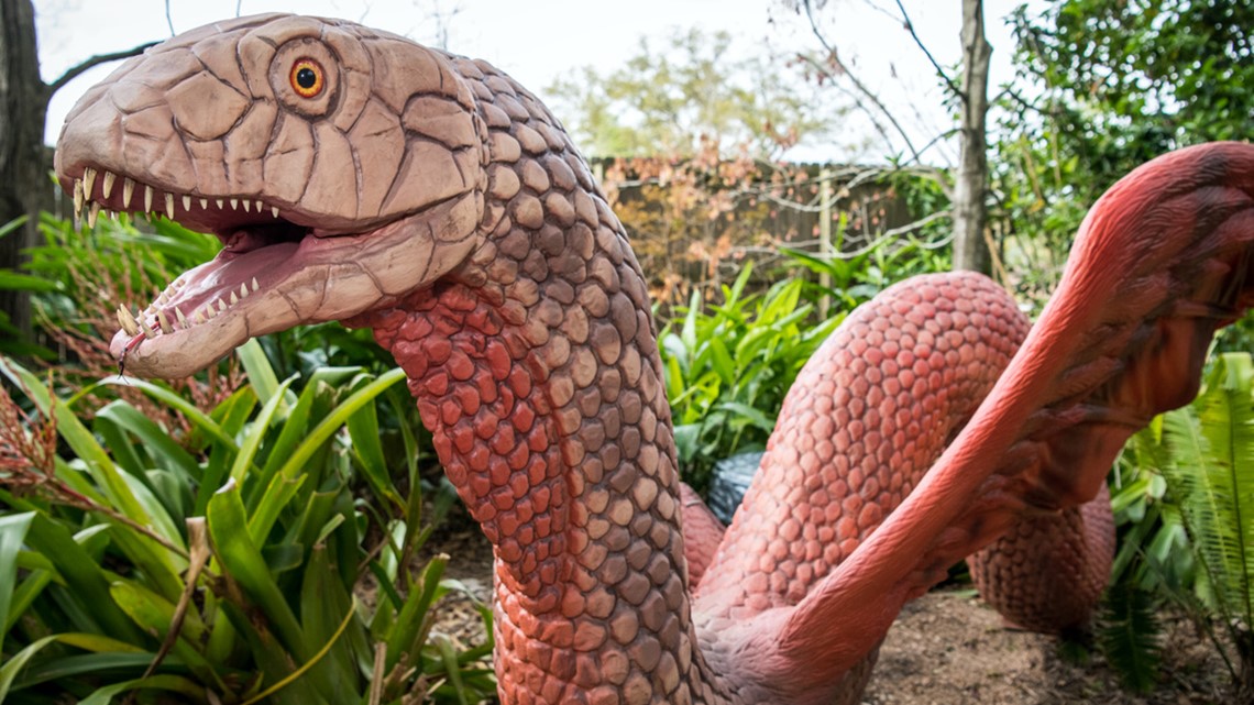 Animatronic ‘Dragons’ soar to the Houston Zoo | khou.com