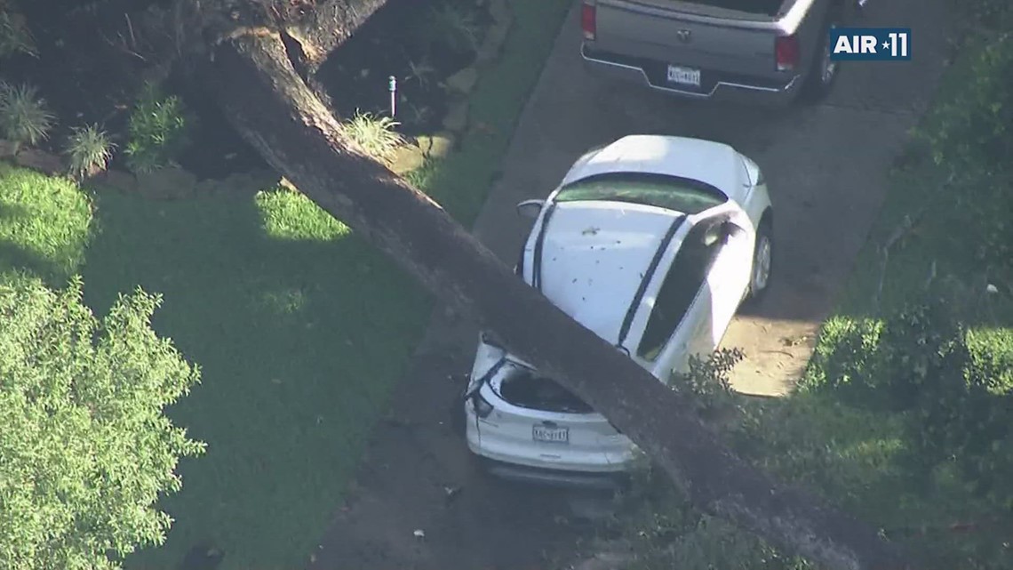 Tree uprooted by storm crushes car in NW Harris County
