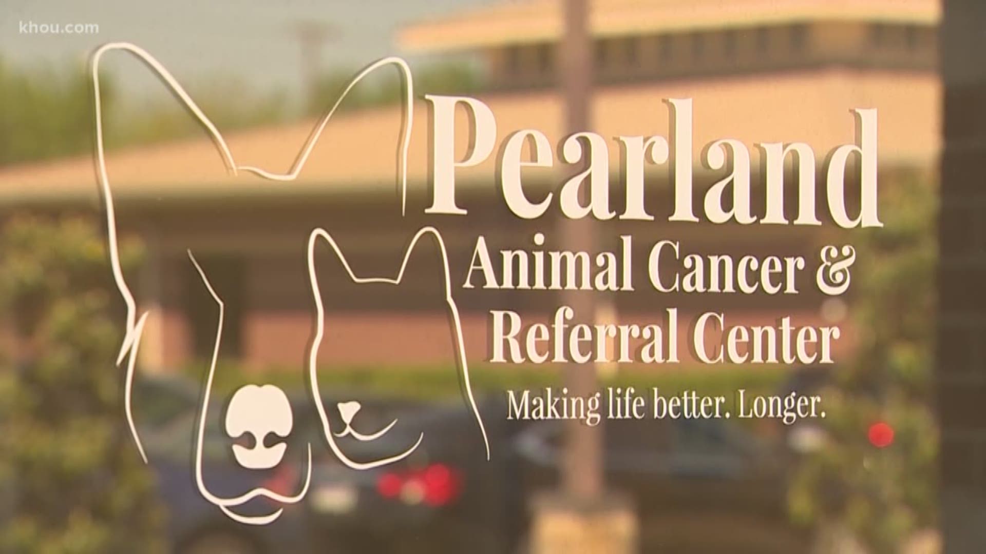 Pearland Animal Cancer & Referral Center opened less than two months ago and offers medical services previously unavailable to many pet owners in the area.