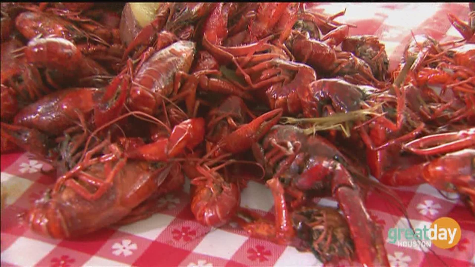 Big Crawfish Bash