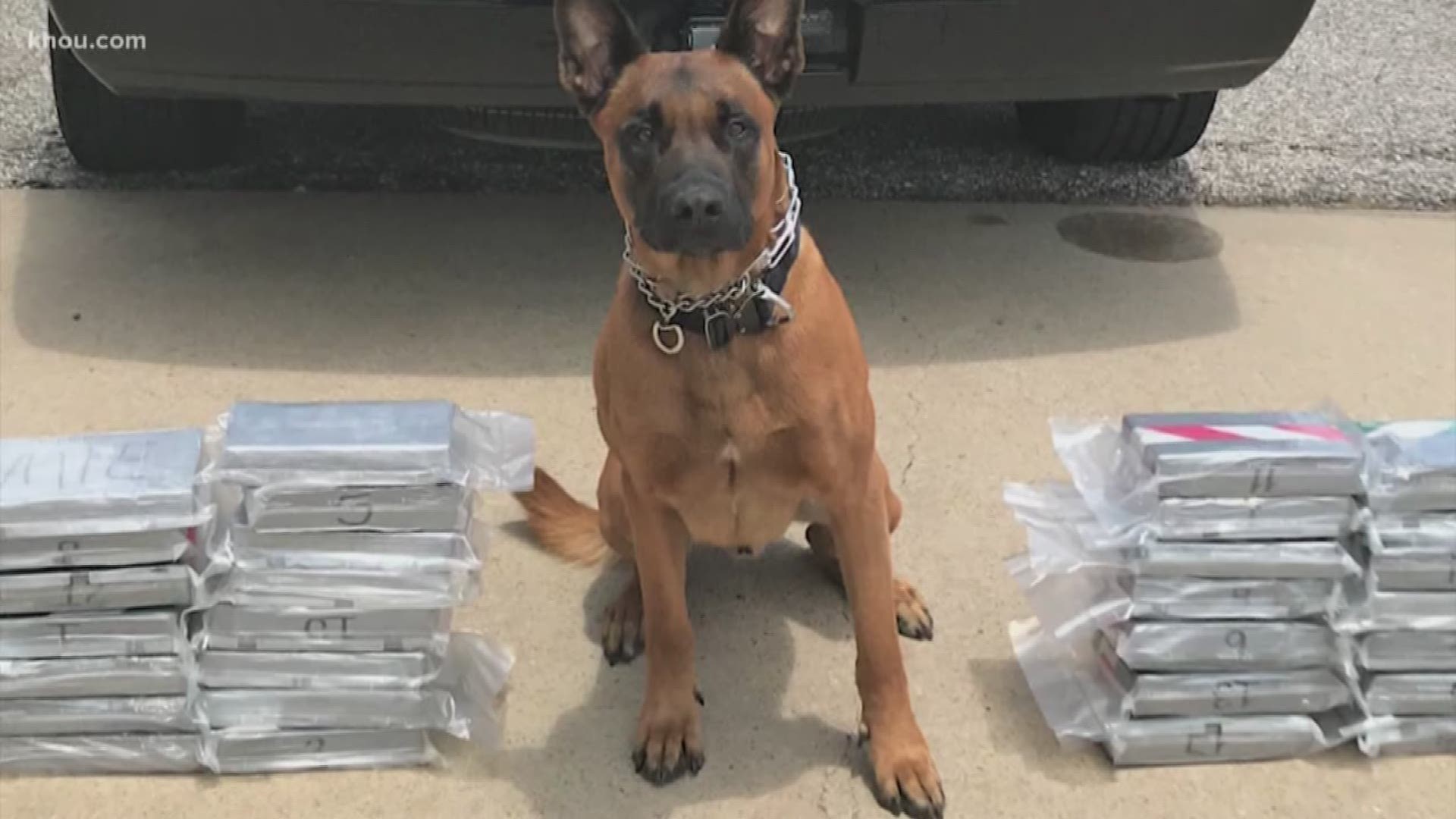 A K-9 deputy made a big drug bust Wednesday as part of The Fort Bend County Narcotics Task Force.