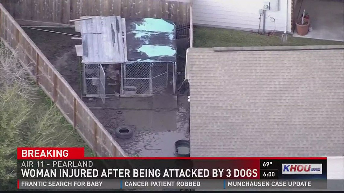 Woman injured after being attacked by three dogs | khou.com