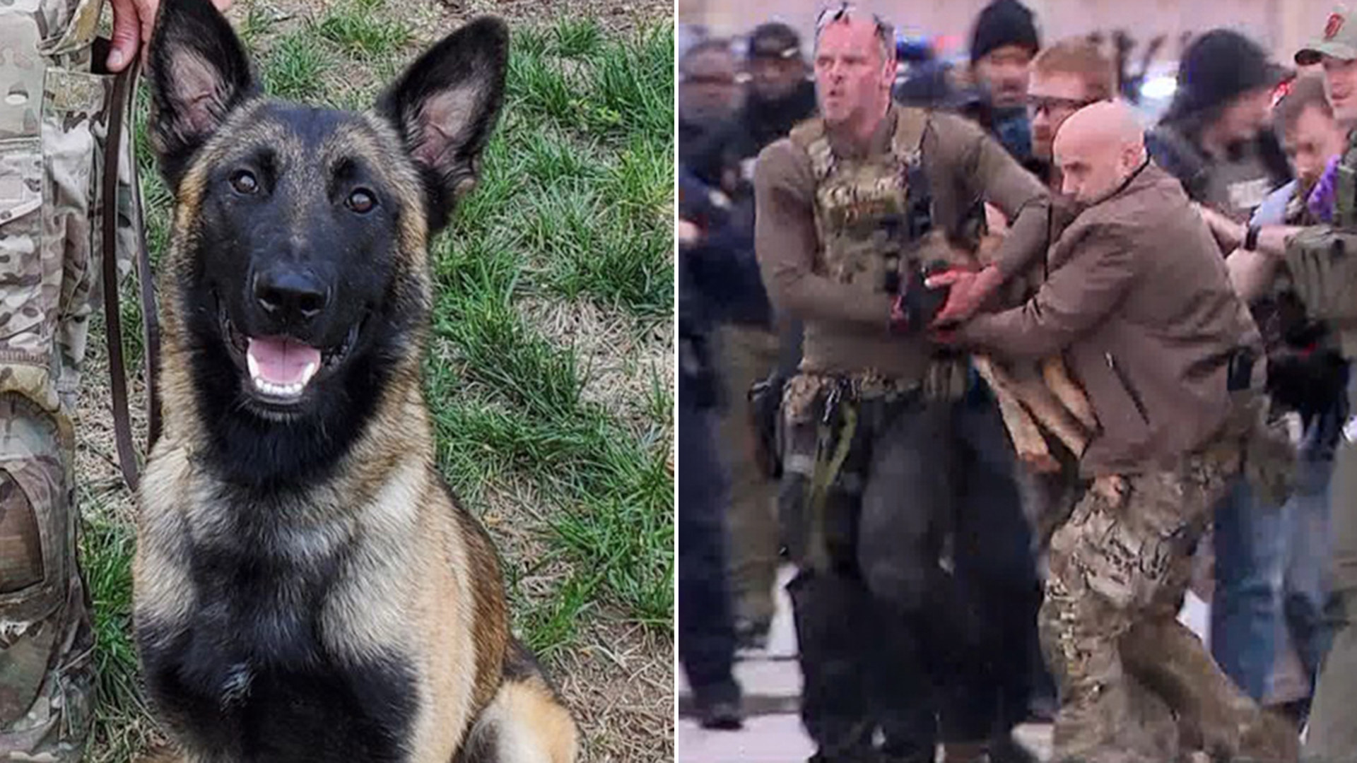 Police K-9 shot after locating BCSO deputy's killer recovering with handler  by his side