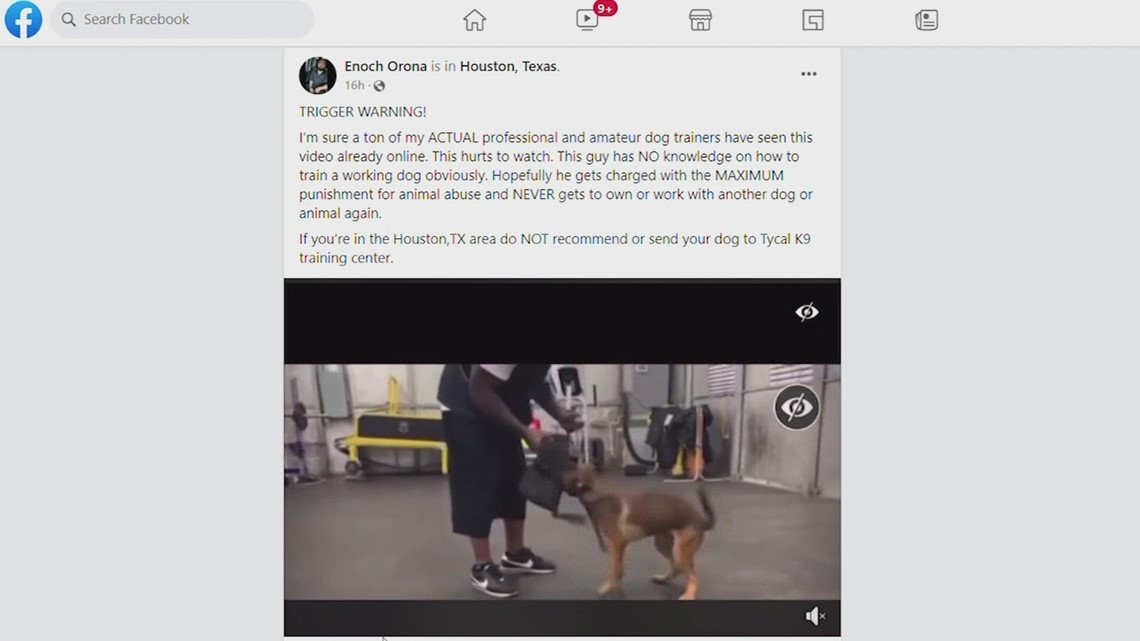 Video dugaan pelecehan anjing mengarah ke penyelidikan di Fort Bend Co